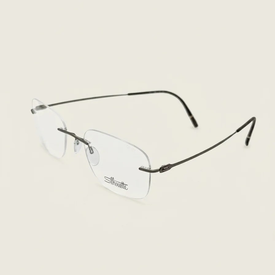 Frame with case Silhouette The Refined Cool Brown 5593 6040 54-21-150 — 2
